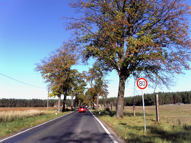 RTF Spandau Jens 16